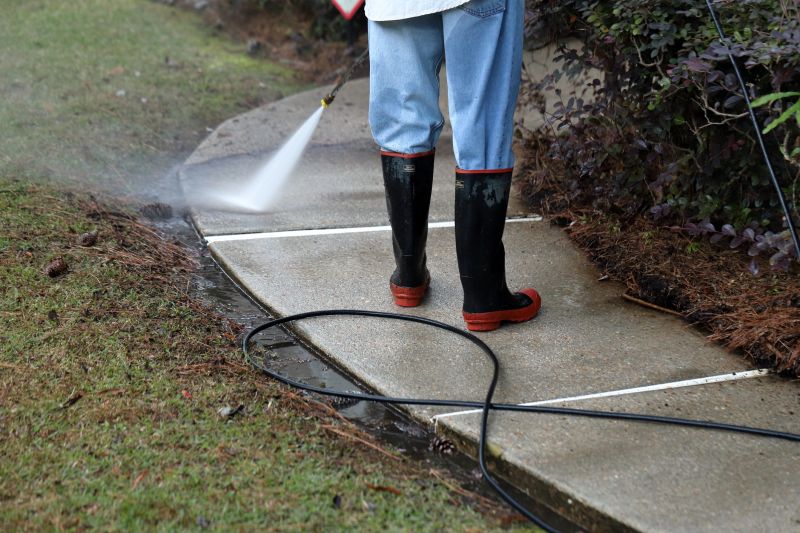 Concrete Path Power Washing